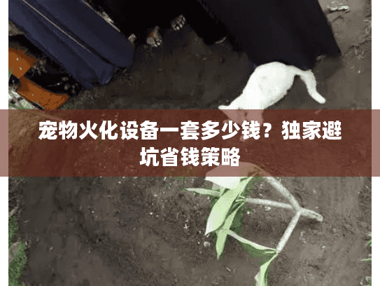宠物火化设备一套多少钱？独家避坑省钱策略