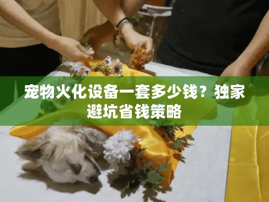 宠物火化设备一套多少钱？独家避坑省钱策略