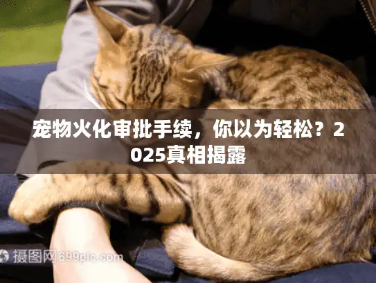 宠物火化审批手续,你以为轻松?2025真相揭露 宠物火化审批手续,你以为轻松?2025真相揭露