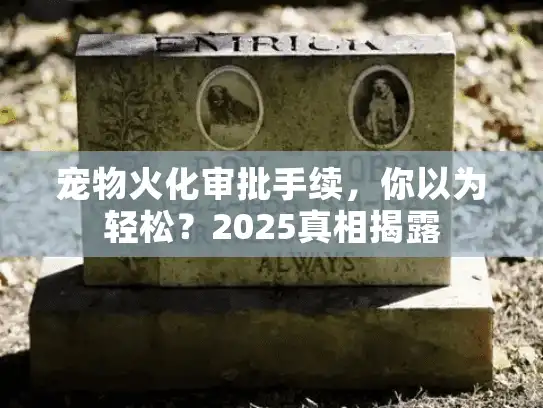 宠物火化审批手续,你以为轻松?2025真相揭露 宠物火化审批手续,你以为轻松?2025真相揭露