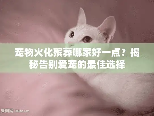 宠物火化殡葬哪家好一点?揭秘告别爱宠的最佳选择 宠物火化殡葬哪家好一点?揭秘告别爱宠的最佳选择
