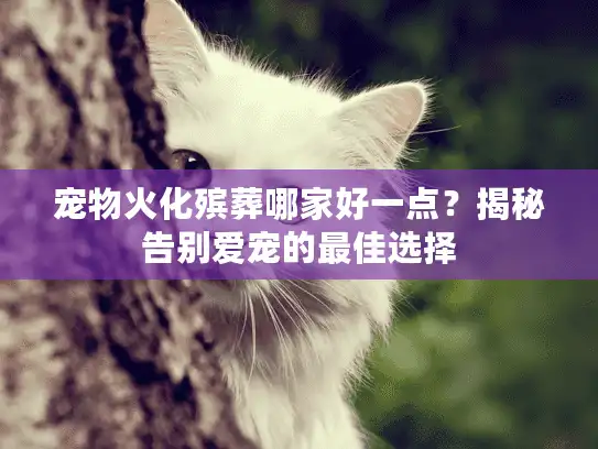 宠物火化殡葬哪家好一点?揭秘告别爱宠的最佳选择 宠物火化殡葬哪家好一点?揭秘告别爱宠的最佳选择