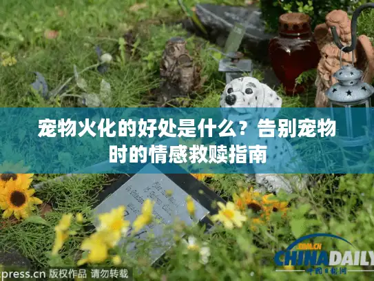 宠物火化的好处是什么?告别宠物时的情感救赎指南 宠物火化的好处是什么?告别宠物时的情感救赎指南