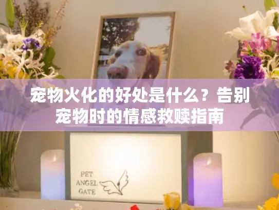 宠物火化的好处是什么?告别宠物时的情感救赎指南 宠物火化的好处是什么?告别宠物时的情感救赎指南