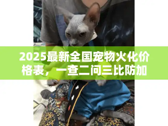 2025最新全国宠物火化价格表，一查二问三比防加价