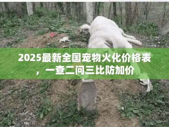 2025最新全国宠物火化价格表，一查二问三比防加价