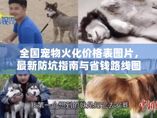 全国宠物火化价格表图片,最新防坑指南与省钱路线图 全国宠物火化价格表图片,最新防坑指南与省钱路线图