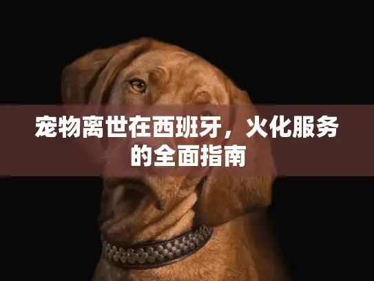 宠物离世在西班牙，火化服务的全面指南