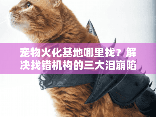 宠物火化基地哪里找?解决找错机构的三大泪崩陷阱 宠物火化基地哪里找?解决找错机构的三大泪崩陷阱