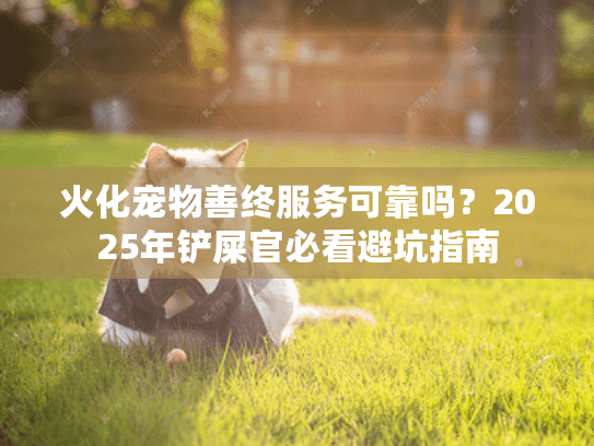 火化宠物善终服务可靠吗？2025年铲屎官必看避坑指南