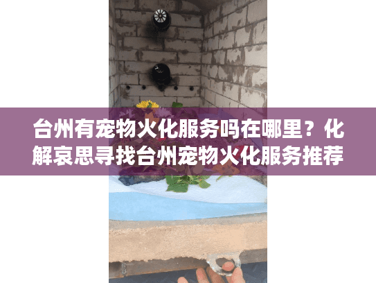 台州有宠物火化服务吗在哪里？化解哀思寻找台州宠物火化服务推荐终极方案