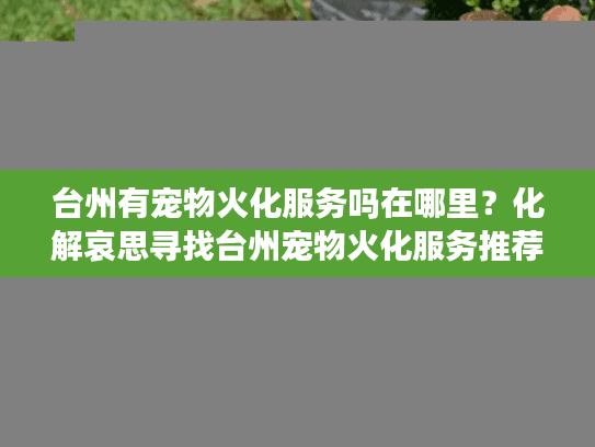 台州有宠物火化服务吗在哪里？化解哀思寻找台州宠物火化服务推荐终极方案