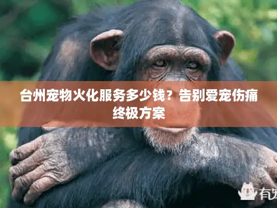 台州宠物火化服务多少钱？告别爱宠伤痛终极方案