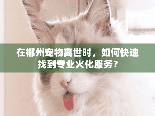 在郴州宠物离世时,如何快速找到专业火化服务? 在郴州宠物离世时,如何快速找到专业火化服务?