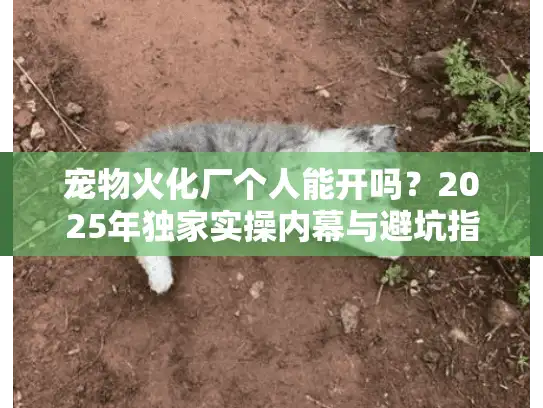 宠物火化厂个人能开吗?2025年独家实操内幕与避坑指南 宠物火化厂个人能开吗?2025年独家实操内幕与避坑指南