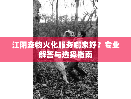 江阴宠物火化服务哪家好？专业解答与选择指南
