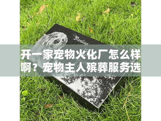 开一家宠物火化厂怎么样啊？宠物主人殡葬服务选择的深度痛点解析与行动方案
