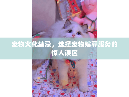 宠物火化禁忌，选择宠物殡葬服务的惊人误区
