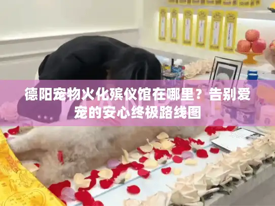 德阳宠物火化殡仪馆在哪里？告别爱宠的安心终极路线图