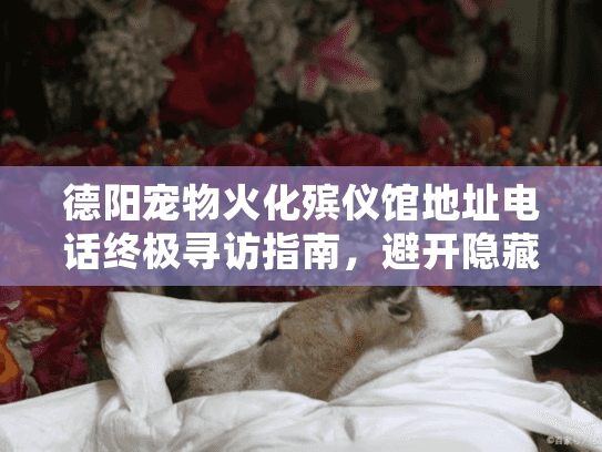 德阳宠物火化殡仪馆地址电话终极寻访指南,避开隐藏陷阱 德阳宠物火化殡仪馆地址电话终极寻访指南,避开隐藏陷阱