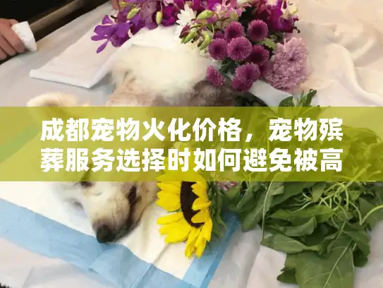 成都宠物火化价格，宠物殡葬服务选择时如何避免被高价坑？