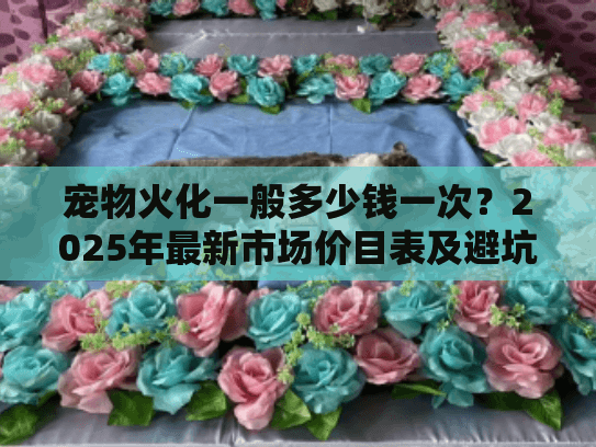 宠物火化一般多少钱一次？2025年最新市场价目表及避坑指南