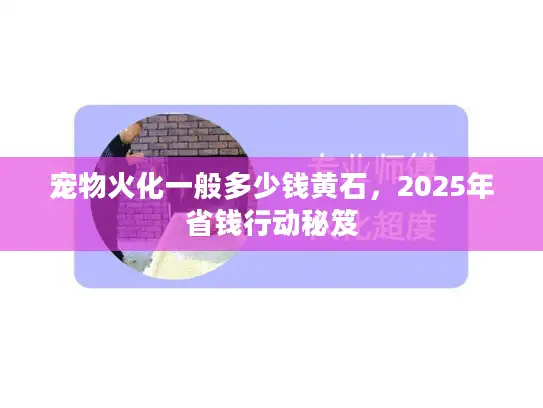 宠物火化一般多少钱黄石，2025年省钱行动秘笈
