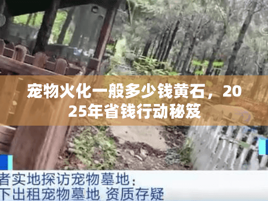 宠物火化一般多少钱黄石，2025年省钱行动秘笈