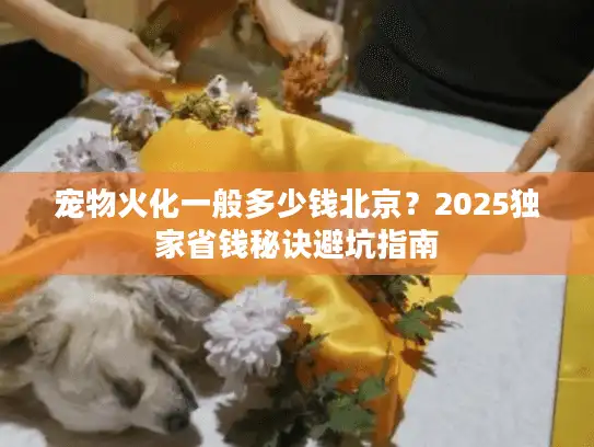 宠物火化一般多少钱北京？2025独家省钱秘诀避坑指南