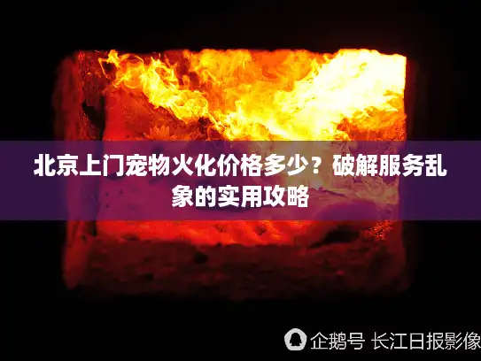 北京上门宠物火化价格多少？破解服务乱象的实用攻略