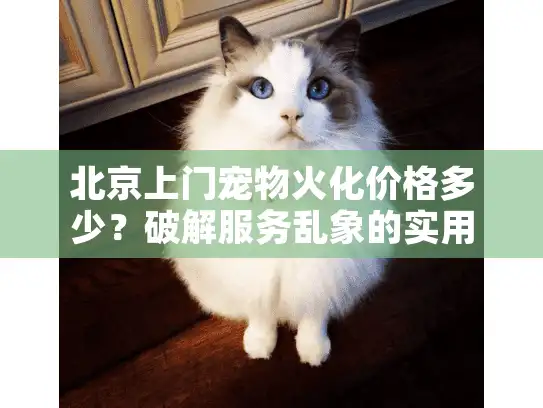 北京上门宠物火化价格多少？破解服务乱象的实用攻略