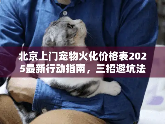 北京上门宠物火化价格表2025最新行动指南，三招避坑法