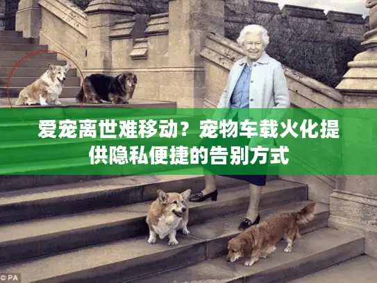 爱宠离世难移动?宠物车载火化提供隐私便捷的告别方式 爱宠离世难移动?宠物车载火化提供隐私便捷的告别方式