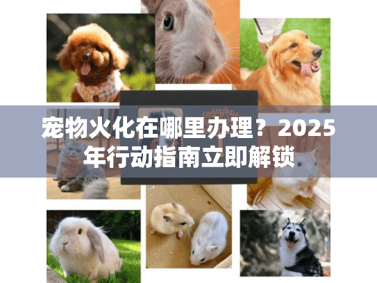 宠物火化在哪里办理？2025年行动指南立即解锁