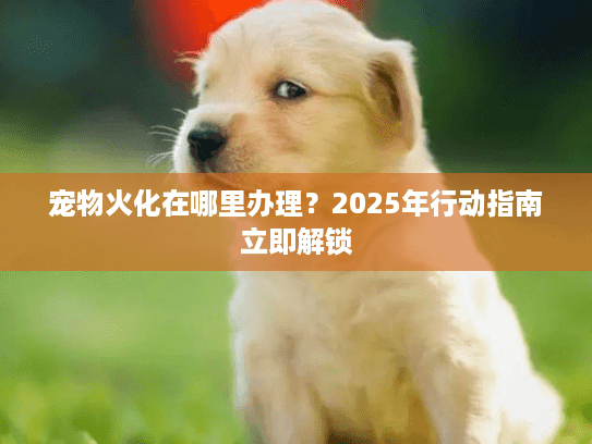 宠物火化在哪里办理？2025年行动指南立即解锁