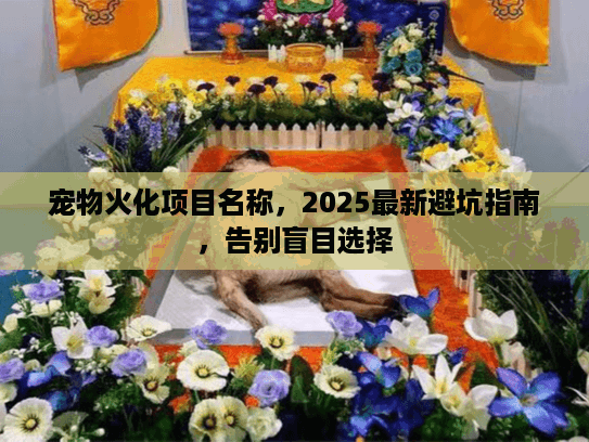 宠物火化项目名称，2025最新避坑指南，告别盲目选择