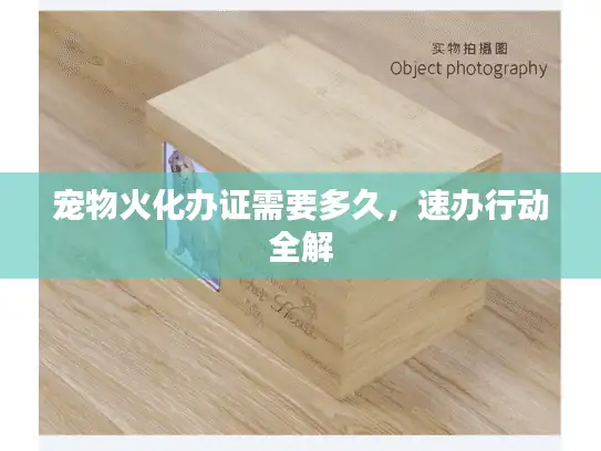 宠物火化办证需要多久，速办行动全解