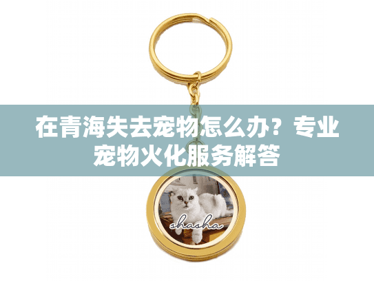 在青海失去宠物怎么办？专业宠物火化服务解答