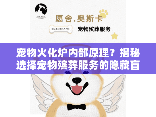宠物火化炉内部原理？揭秘选择宠物殡葬服务的隐藏盲点