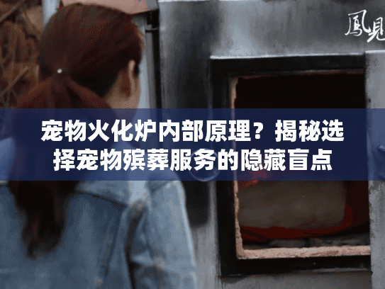 宠物火化炉内部原理？揭秘选择宠物殡葬服务的隐藏盲点
