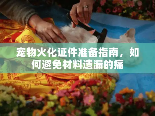 宠物火化证件准备指南,如何避免材料遗漏的痛 宠物火化证件准备指南,如何避免材料遗漏的痛