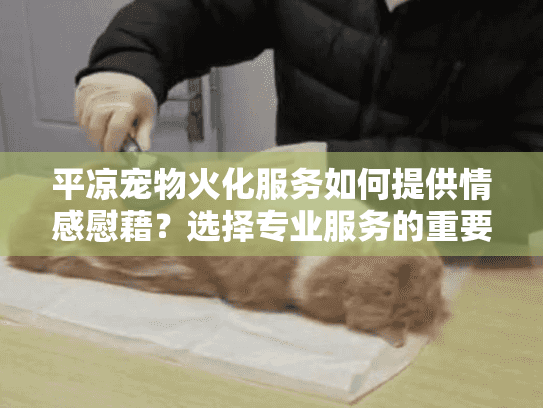 平凉宠物火化服务如何提供情感慰藉？选择专业服务的重要性
