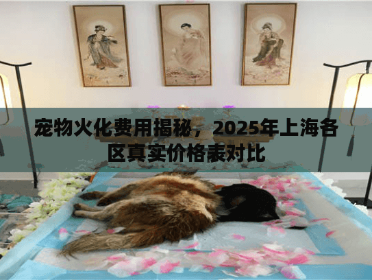 宠物火化费用揭秘，2025年上海各区真实价格表对比