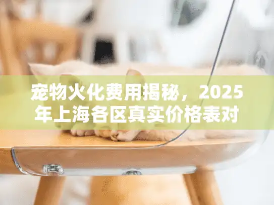 宠物火化费用揭秘，2025年上海各区真实价格表对比