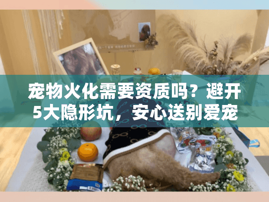 宠物火化需要资质吗？避开5大隐形坑，安心送别爱宠