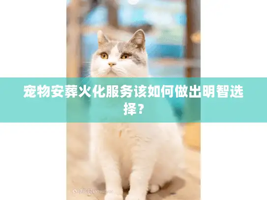 宠物安葬火化服务该如何做出明智选择? 宠物安葬火化服务该如何做出明智选择?