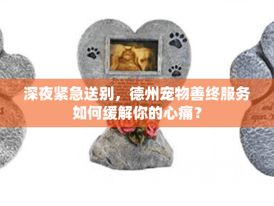 深夜紧急送别，德州宠物善终服务如何缓解你的心痛？