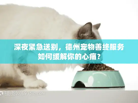 深夜紧急送别，德州宠物善终服务如何缓解你的心痛？