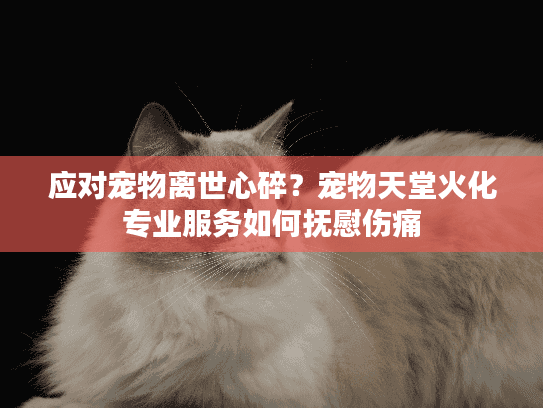 应对宠物离世心碎?宠物天堂火化专业服务如何抚慰伤痛 应对宠物离世心碎?宠物天堂火化专业服务如何抚慰伤痛