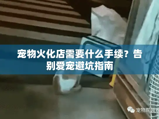 宠物火化店需要什么手续?告别爱宠避坑指南 宠物火化店需要什么手续?告别爱宠避坑指南